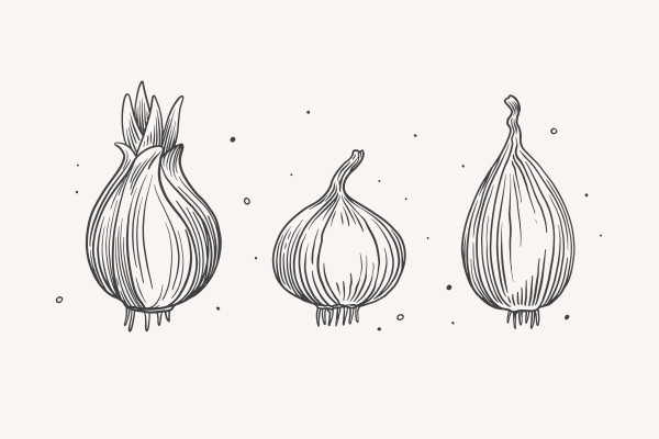 [object Object] undefined