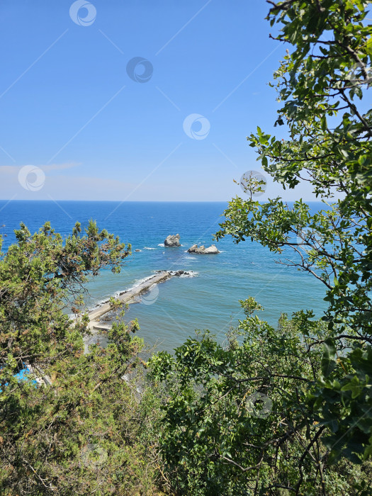 Скачать Вид на море сквозь окно из зелёных деревьев. фотосток Ozero