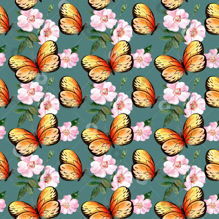 Скачать Акварельный узор с бабочками и цветами фотосток Ozero