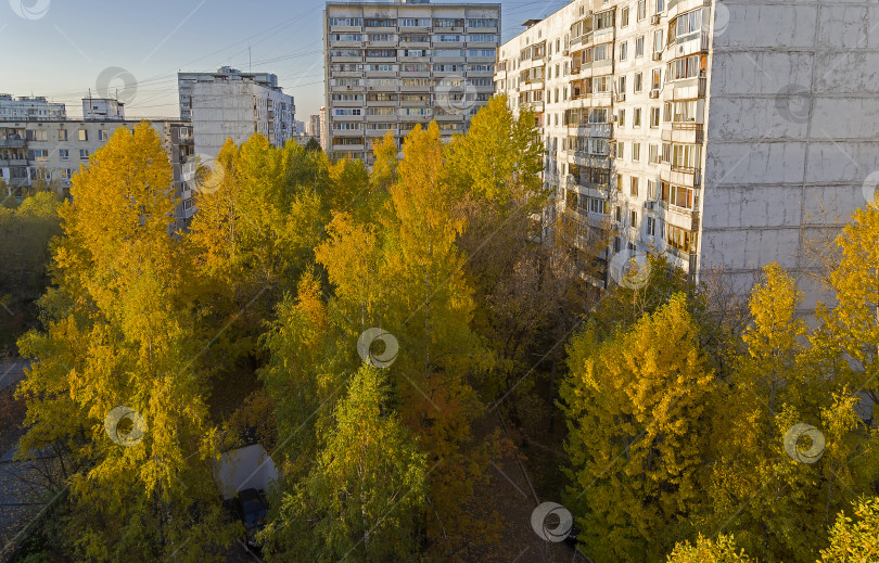 Скачать Золотая осень в спальном районе Москвы фотосток Ozero