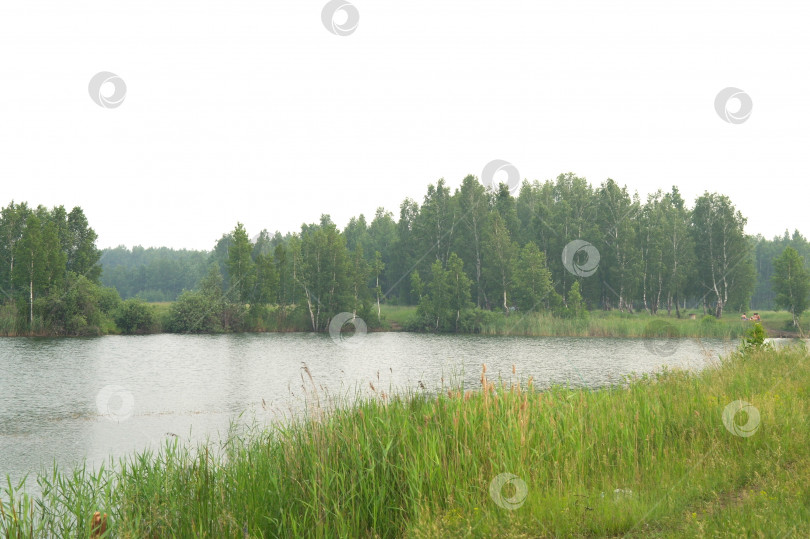 Скачать Панорамный пейзаж пруда в утреннем тумане фотосток Ozero