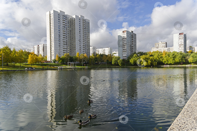 Скачать Пруд в Москве. фотосток Ozero