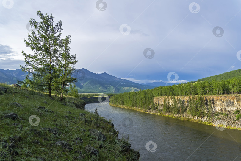 Скачать Высокие крутые берега реки. Сибирь. фотосток Ozero