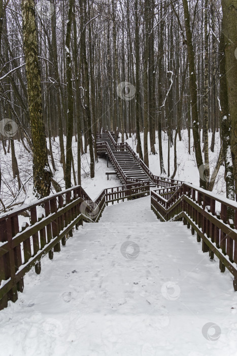 Скачать Деревянная лестница через овраг. фотосток Ozero