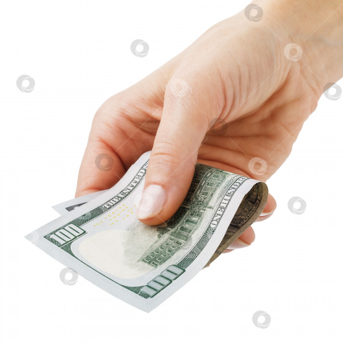 Скачать Доллары в руке крупным планом выделяются на белом фоне фотосток Ozero
