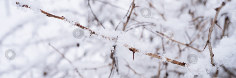 Скачать снежный зимний сезон на природе. белый свежий ледяной замерзший снег и снежинки на голых ветвях деревьев в морозный зимний день в лесу или саду. холодная погода. естественный фон. рождественское время фотосток Ozero
