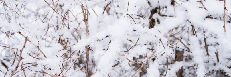 Скачать снежный зимний сезон на природе. белый свежий ледяной замерзший снег и снежинки на голых ветвях деревьев в морозный зимний день в лесу или саду. холодная погода. естественный фон. рождественское время фотосток Ozero