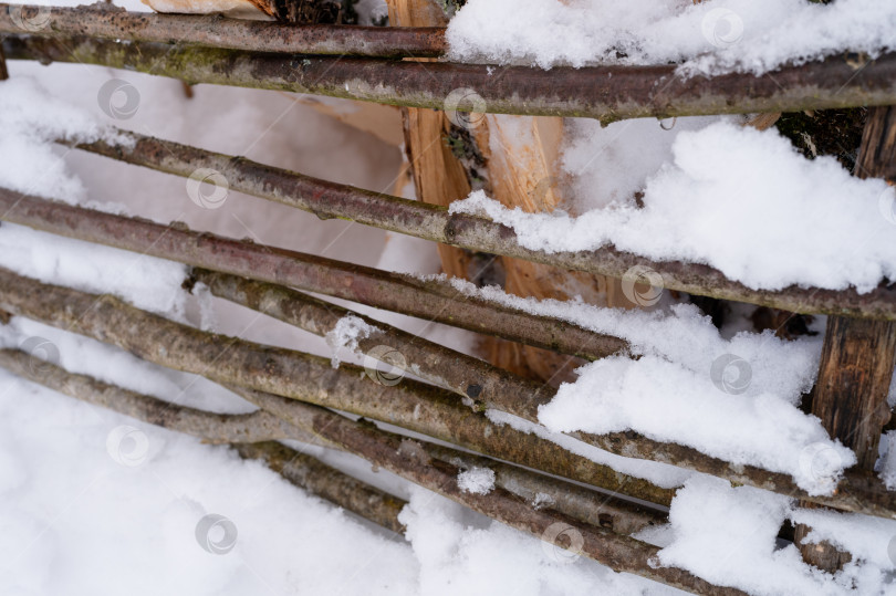 Скачать снежный зимний сезон на природе. свежий ледяной замерзший снег и снежинки покрыли деревянные ветки забора в морозный зимний день в лесу или саду. холодная погода. рождественское время фотосток Ozero