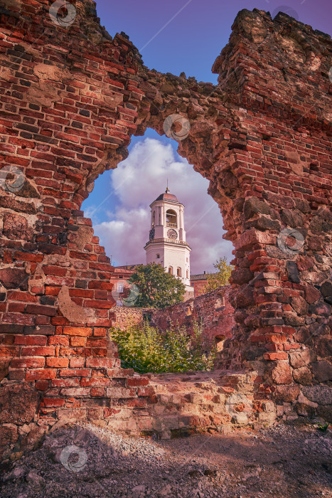 Скачать Руины церкви и башня с часами в Выборге. фотосток Ozero