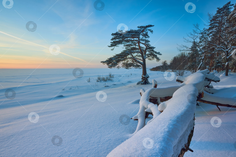 Скачать Заснеженное Балтийское побережье. фотосток Ozero