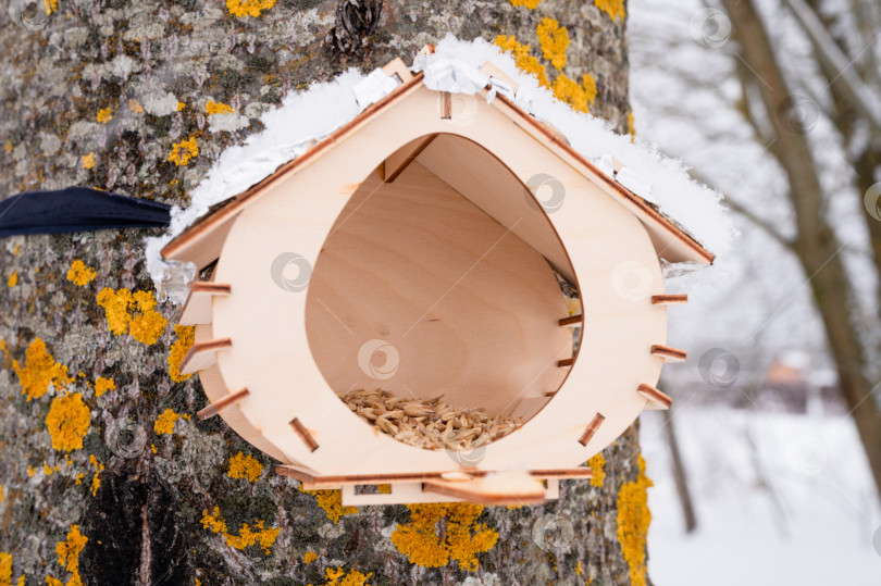 Скачать деревянная кормушка для диких лесных птиц с кормом, висящая на дереве, покрытом свежезамороженным снегом и снежинками в морозный зимний день в лесу или саду. уход за животными. снежный зимний сезон на природе фотосток Ozero