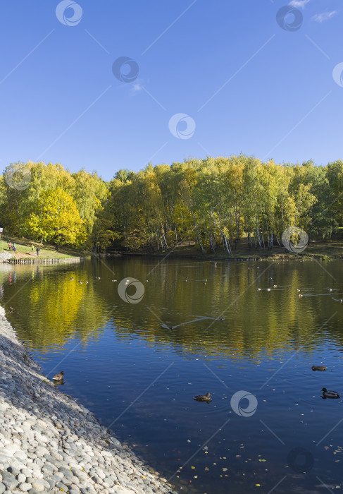 Скачать Красивый осенний пейзаж фотосток Ozero