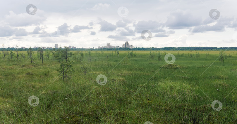 Скачать большой болотистый пейзаж, городские здания на горизонте фотосток Ozero