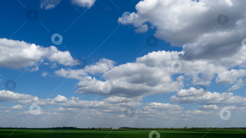 Скачать небо над лугом фотосток Ozero