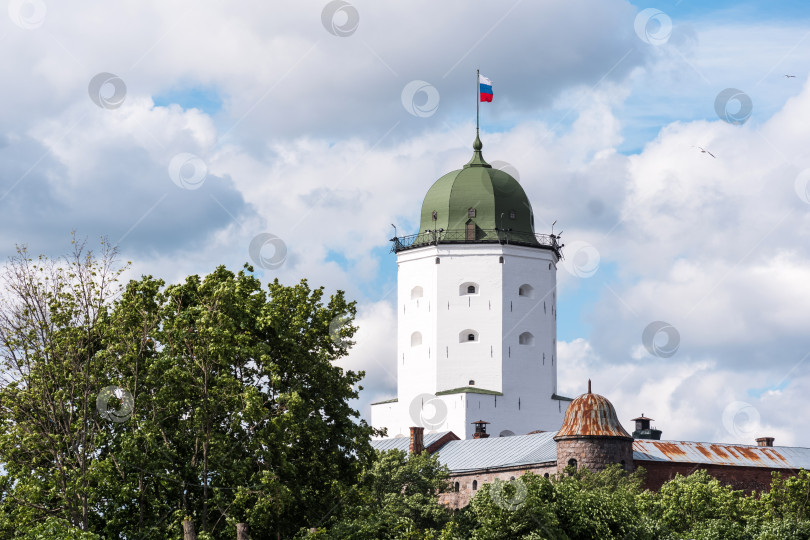 Скачать средневековый замок в Выборге, Россия, башня Святого Олава фотосток Ozero