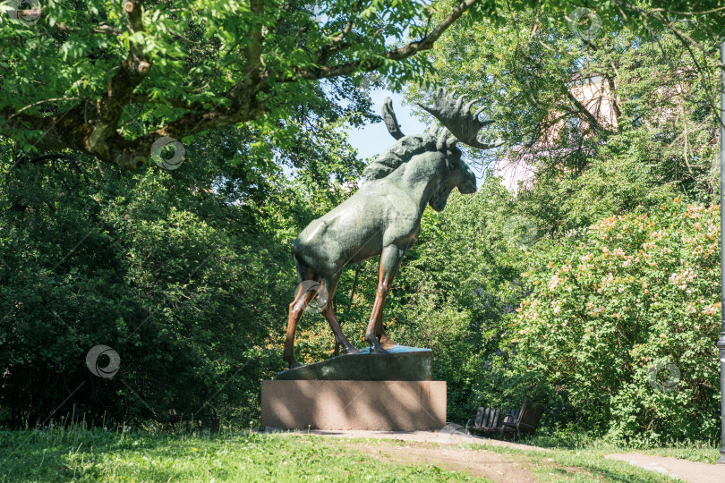 Скачать памятник лосю в городском парке Выборга фотосток Ozero