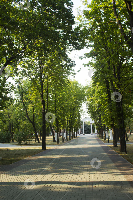 Скачать Парк фотосток Ozero