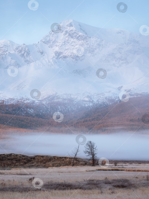 Скачать Осеннее туманное утро на горном плато. Вид сверху. фотосток Ozero