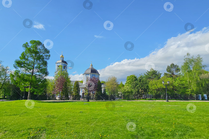 Скачать Городской зеленый парк Царицыно, пышный газон. фотосток Ozero