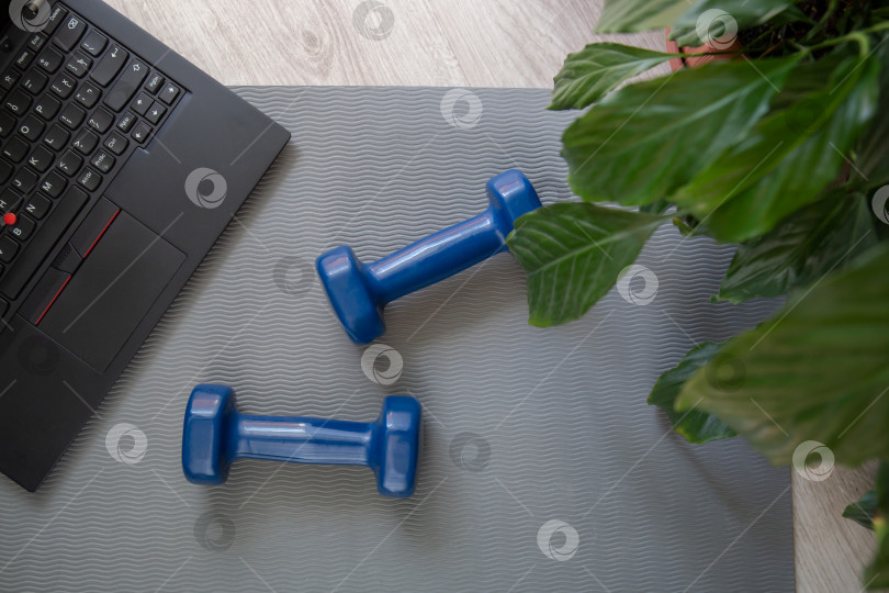 Скачать Две гантели для занятий фитнесом дома и ноутбук для дистанционных тренировок. фотосток Ozero