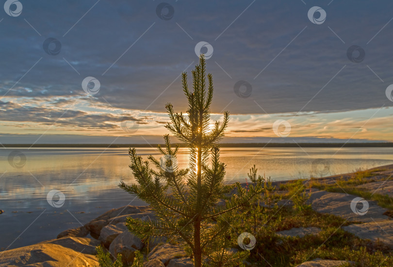 Скачать Вечер на берегу Белого моря. фотосток Ozero