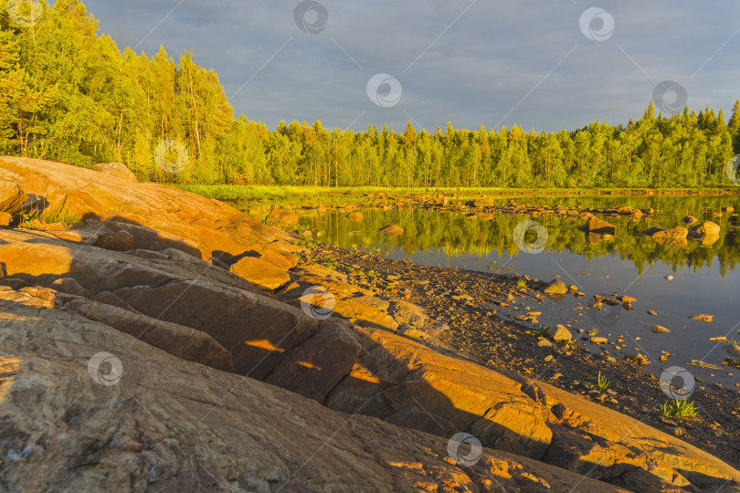 Скачать Берег Белого моря в лучах вечернего солнца. фотосток Ozero