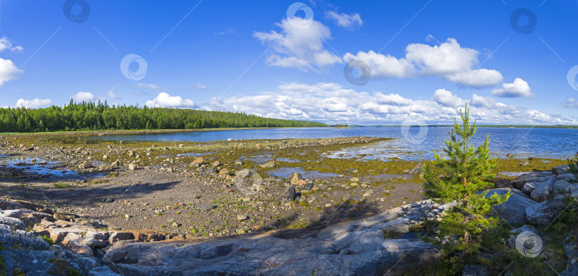 Скачать Прибрежная зона во время отлива. фотосток Ozero