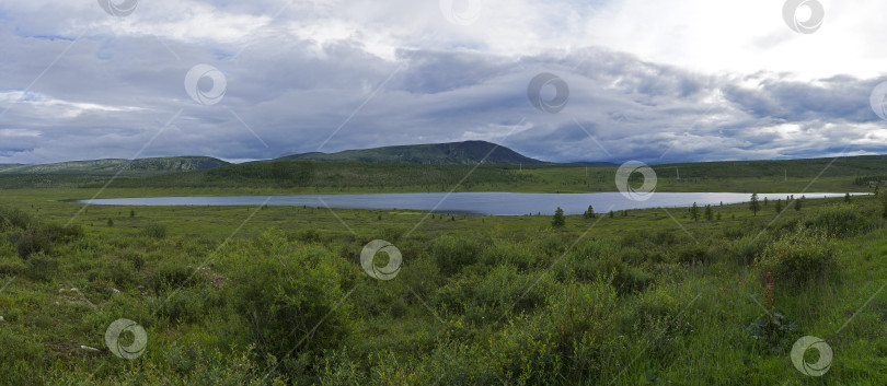 Скачать Небольшое озеро в Сибири фотосток Ozero