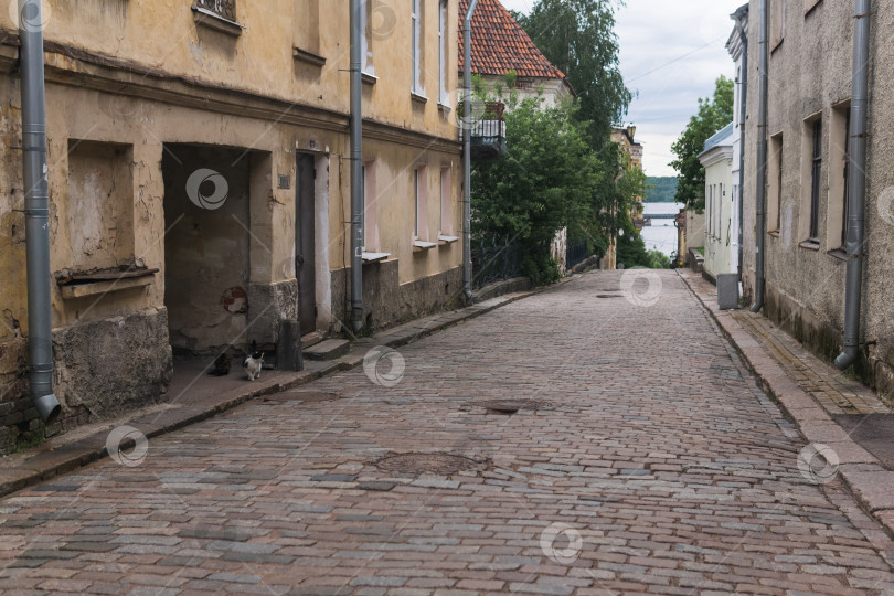 Скачать старинный городской пейзаж, старая улица со старинными зданиями фотосток Ozero