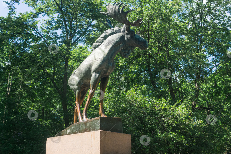 Скачать памятник лосю в городском парке Выборга фотосток Ozero