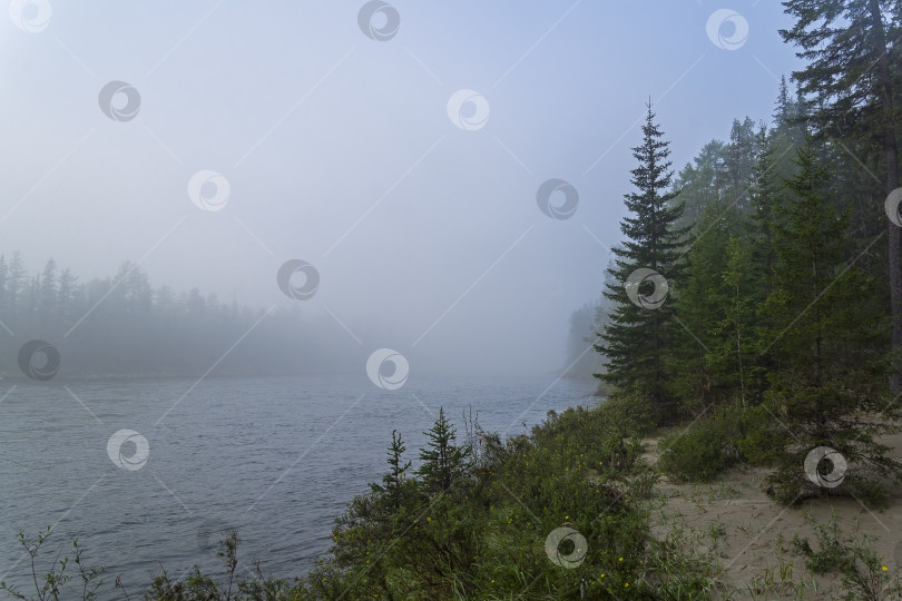 Скачать Туманное утро на берегу горной реки. фотосток Ozero