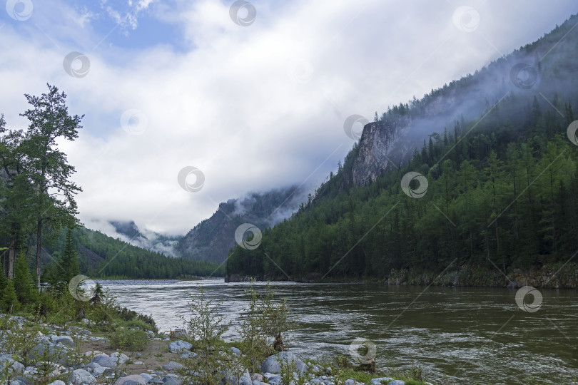 Скачать Низкие облака на склоне горы. фотосток Ozero