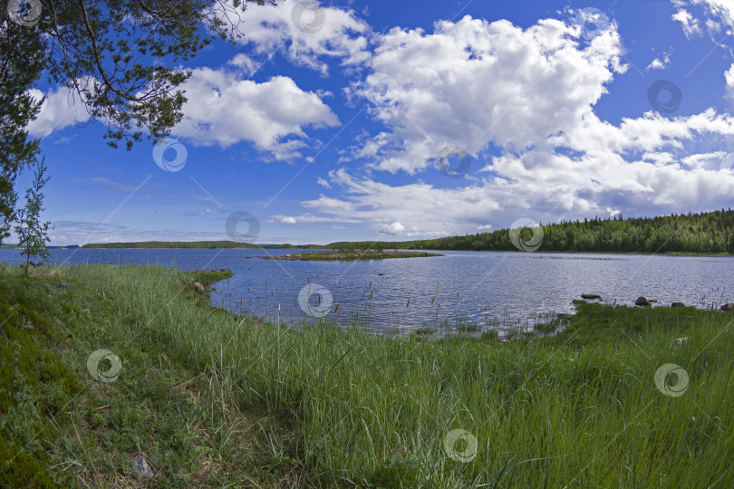 Скачать Берег Белого моря в солнечный летний день. фотосток Ozero