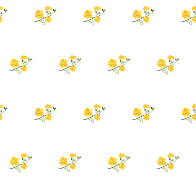 [object Object] undefined