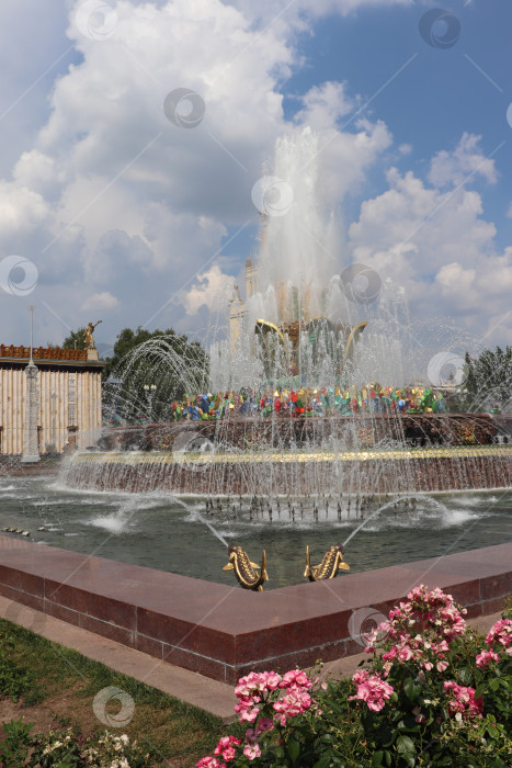 Скачать фонтан "Каменный цветок" в Москве фотосток Ozero