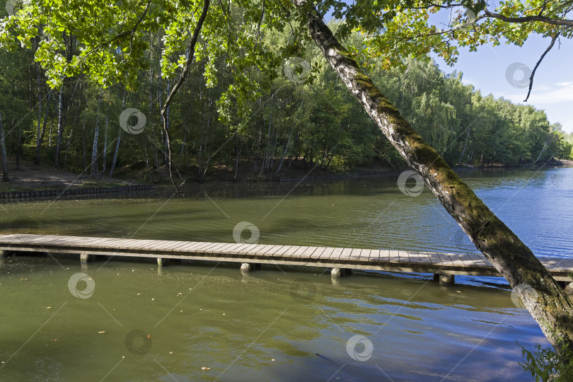 Скачать Пруд в лесопарке. фотосток Ozero