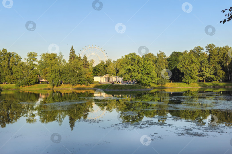 Скачать Колесо обозрения и отражения деревьев в пруду. фотосток Ozero