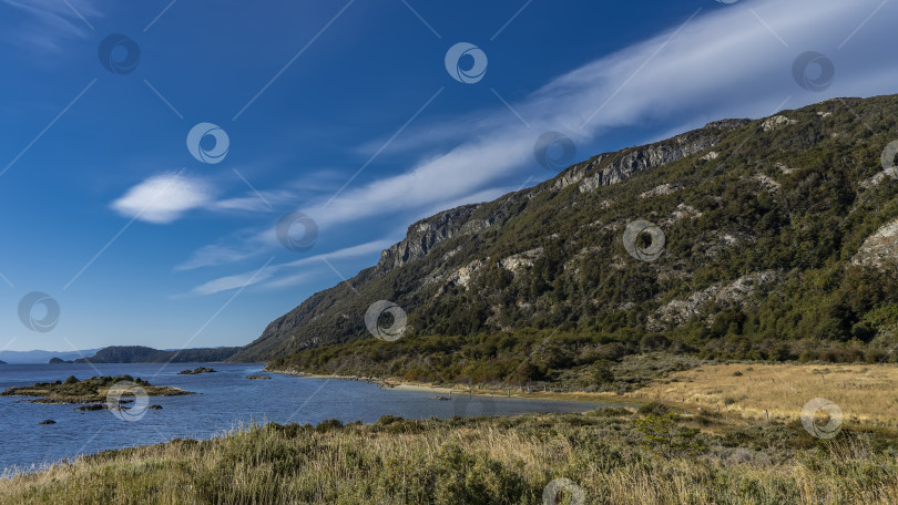 Скачать На берегу голубого озера растет пожелтевшая трава. фотосток Ozero