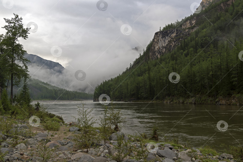 Скачать Низкие облака в горном ущелье. фотосток Ozero