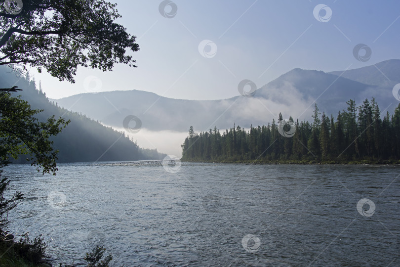 Скачать Утро на берегу горной реки. фотосток Ozero