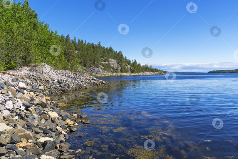 Скачать Берег Белого моря в солнечный летний день. фотосток Ozero