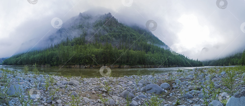 Скачать Панорама берега горной реки, частично скрытого низкими облаками. фотосток Ozero