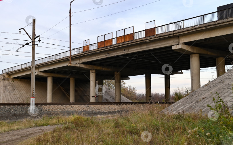 Скачать несколько линий электропередач в осеннем лесу фотосток Ozero