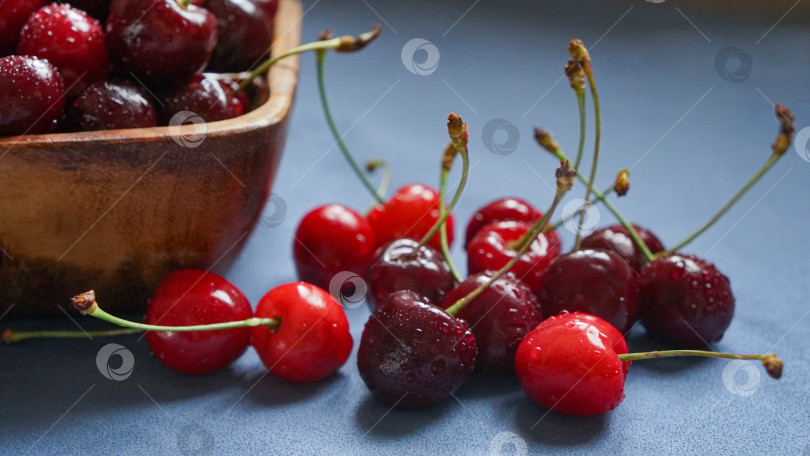 Скачать вишневые ягоды на голубой скатерти фотосток Ozero
