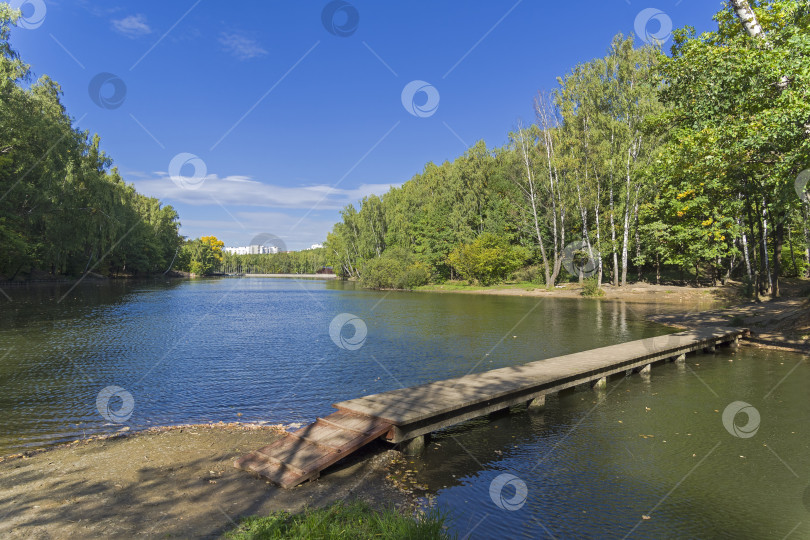 Скачать Пруд в лесопарке. фотосток Ozero