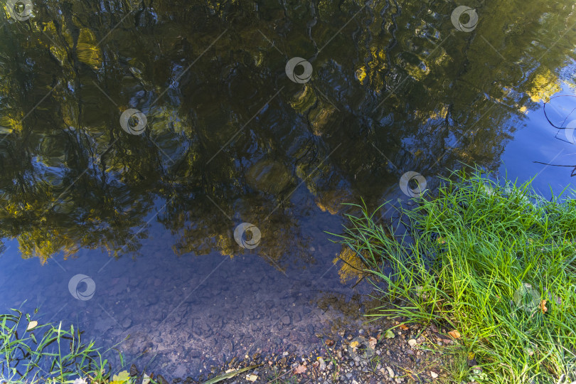 Скачать Отражение прибрежных деревьев в водной глади. фотосток Ozero