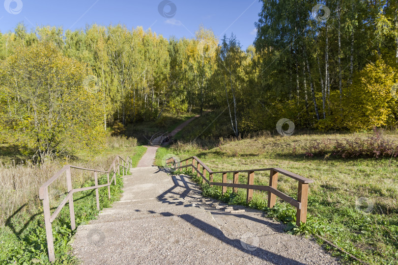 Скачать Пешеходная дорожка в лесопарке. Солнечный осенний день. фотосток Ozero