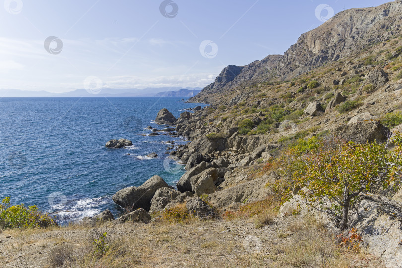 Скачать Берег Черного моря. Крым. фотосток Ozero