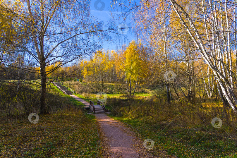 Скачать Пешеходная дорожка в лесопарке. Солнечный осенний день. фотосток Ozero