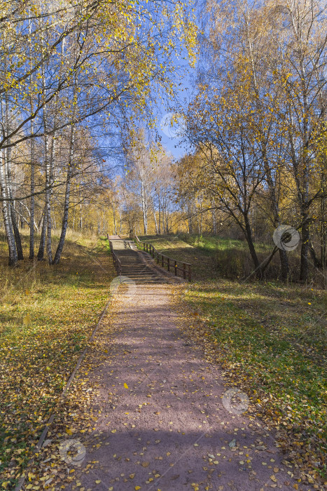 Скачать Пешеходная дорожка в лесопарке. Солнечный осенний день. фотосток Ozero